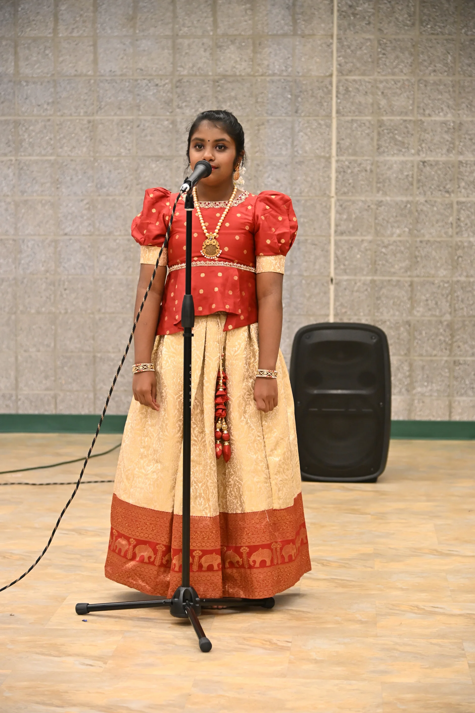 Sangamam - Photo 125