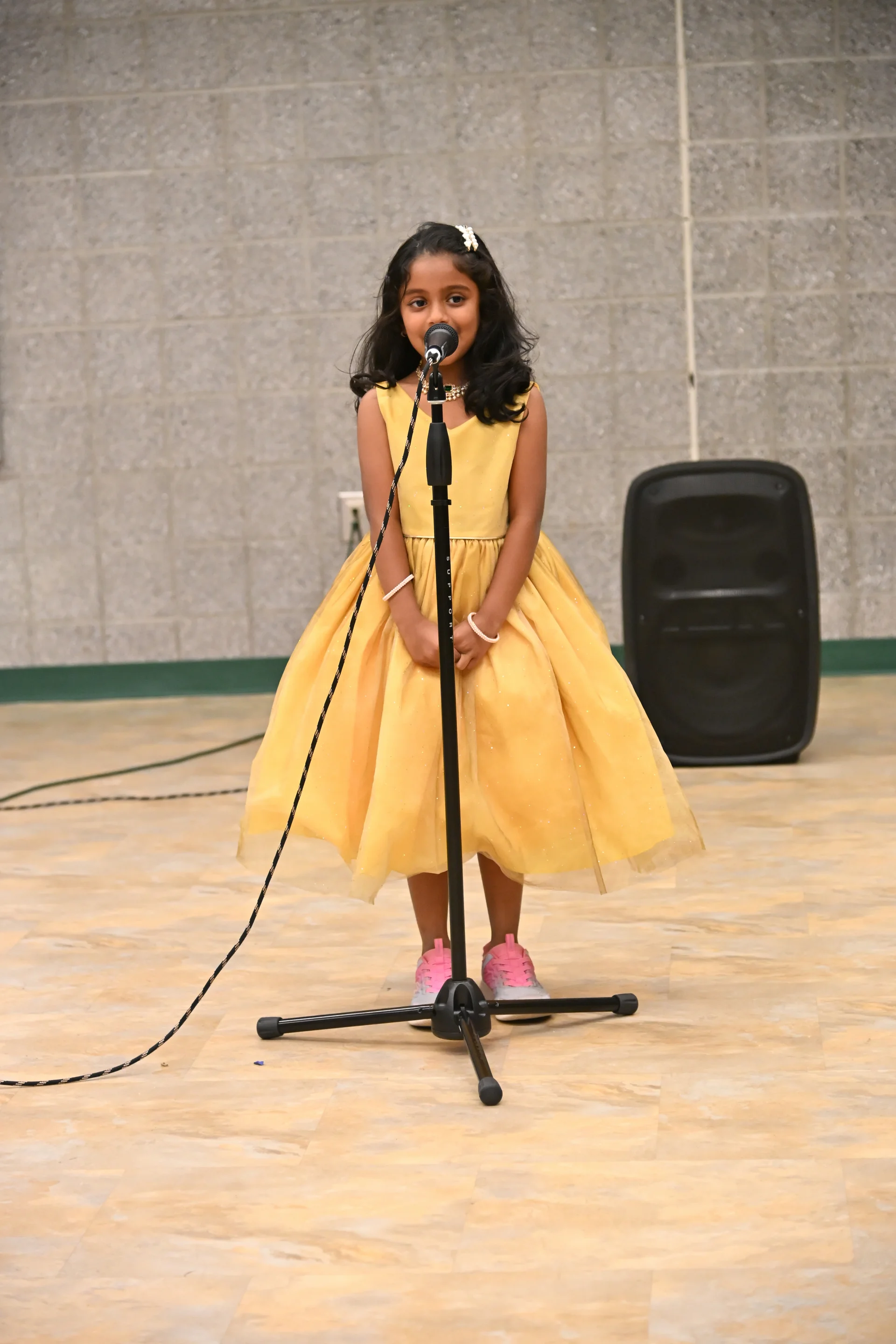 Sangamam - Photo 146