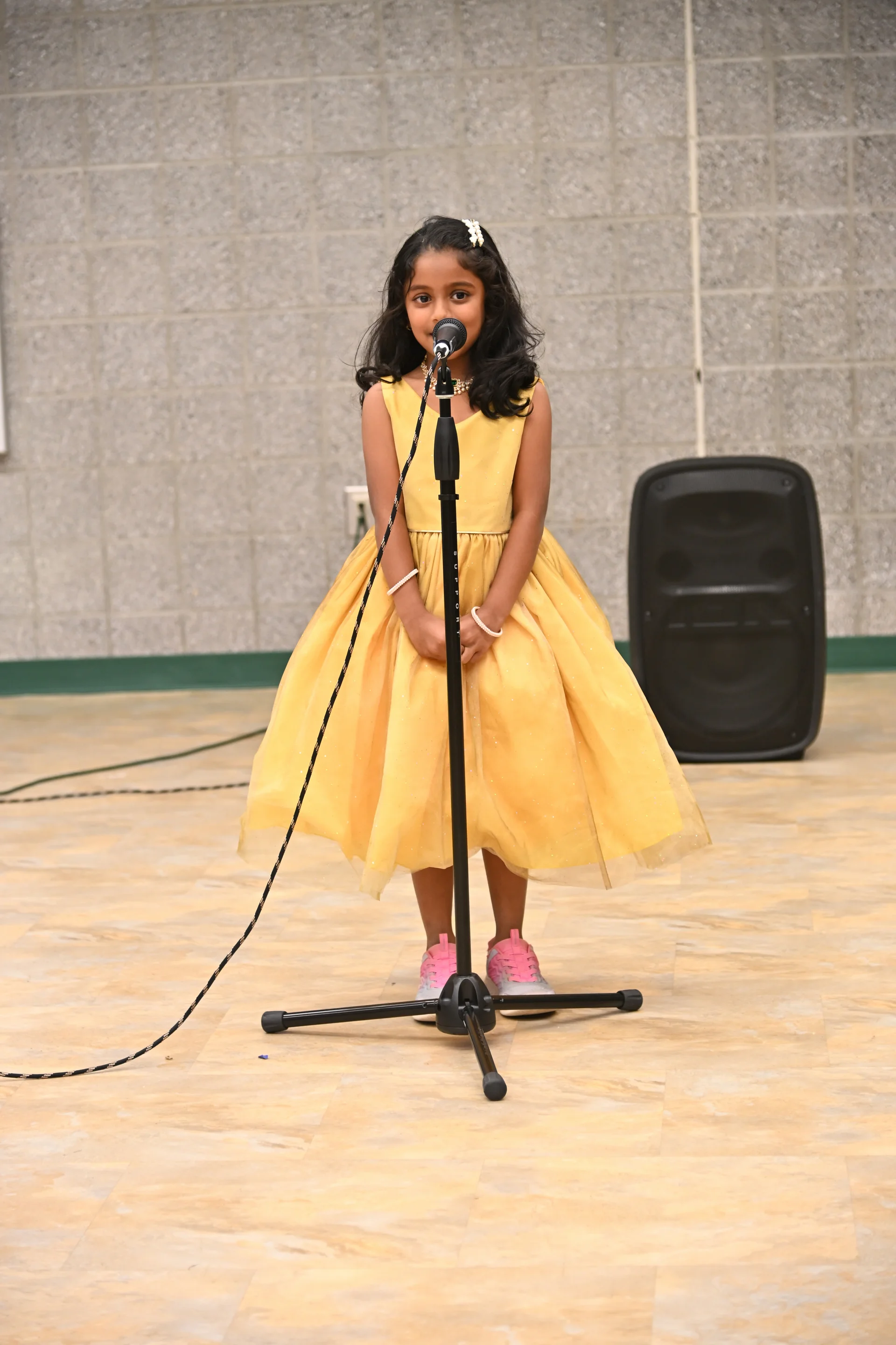 Sangamam - Photo 147